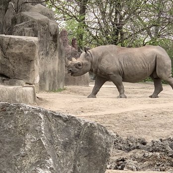 Brookfield Zoo Chicago - Zoos Near Me - Brookfield, Illinois Brookfield Zoo Chicago - Zoos Near Me - Brookfield, Illinois