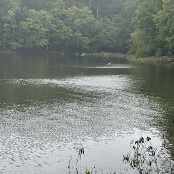 Lake Wateree - The lake - Lakes Near Me - Camden, South Carolina