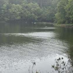 Lake Wateree - The lake