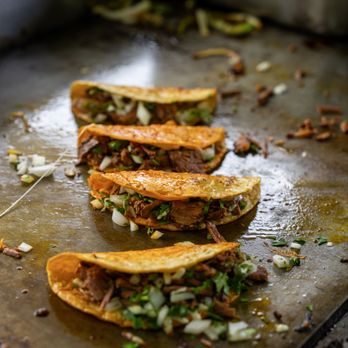 Tacos El Pelon - Birria Tacos - Tacos Near Me - Chamblee, Georgia Tacos El Pelon - Birria Tacos - Tacos Near Me - Chamblee, Georgia