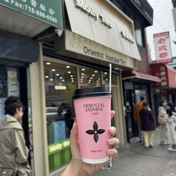 Molly Tea - Premium Jasmine Milk Tea - Bubble Tea Near Me - Flushing, New York Molly Tea - Premium Jasmine Milk Tea - Bubble Tea Near Me - Flushing, New York