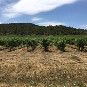 Chateau La Coste - Rows and rows of vines! - Wineries Near Me - Puy Sainte Réparade (Le), 13 Chateau La Coste - Rows and rows of vines! - Wineries Near Me - Puy Sainte Réparade (Le), 13