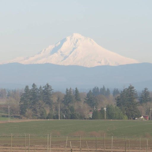 MOUNT ANGEL TOWERS Updated September 2024 1 Towers Ln, Mount Angel