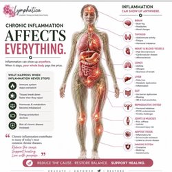 Pawleys Lymphatic Wellness - Inflammation