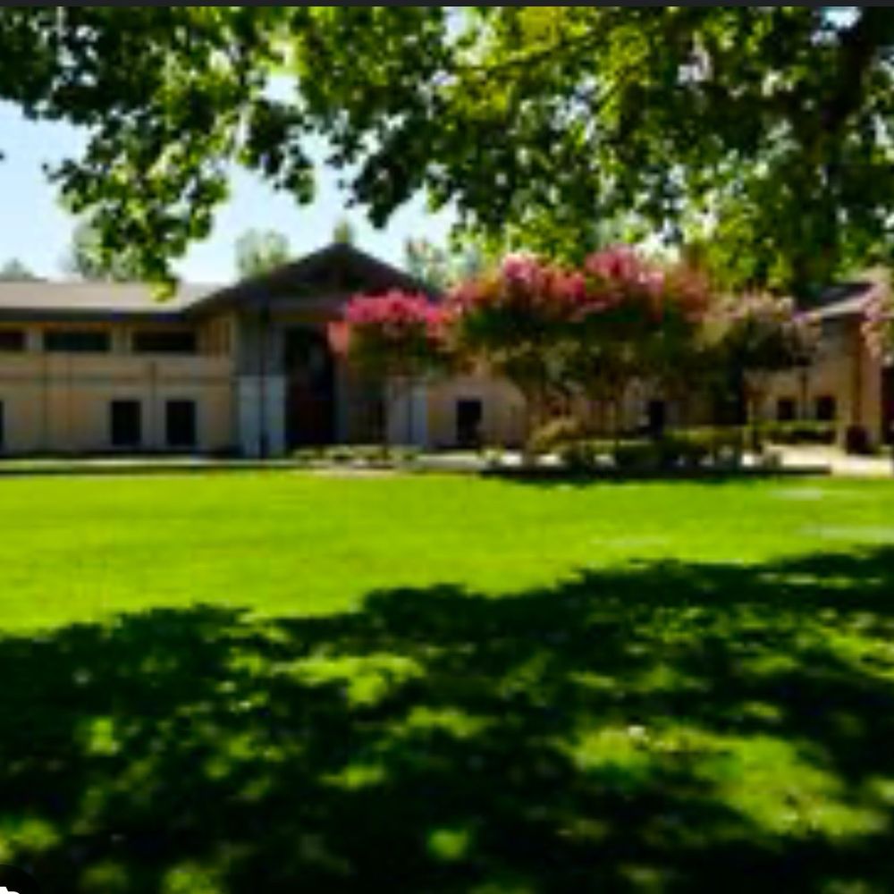 Danville Library - Large green lawn for running around, sunning or just sitting quietly underneath the trees. - Libraries Near Me - Danville, California Danville Library - Large green lawn for running around, sunning or just sitting quietly underneath the trees. - Libraries Near Me - Danville, California