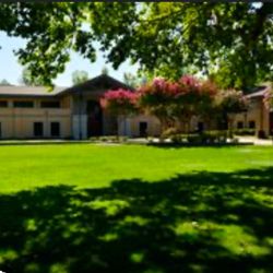 Danville Library - Large green lawn for running around, sunning or just sitting quietly underneath the trees.
