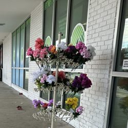 Dollar Tree