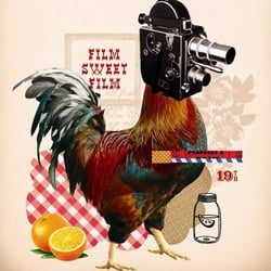 Florida Film Festival - http://www.floridafilmfestival.com/