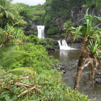 Pipiwai Trail - Start of the trail. - Hiking Near Me - Hana,, Hawaii