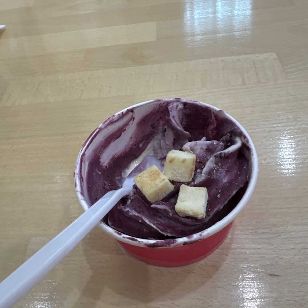 Vanilla ice cream with Marion berry with cheesecake bites! Vanilla ice cream with Marion berry with cheesecake bites!