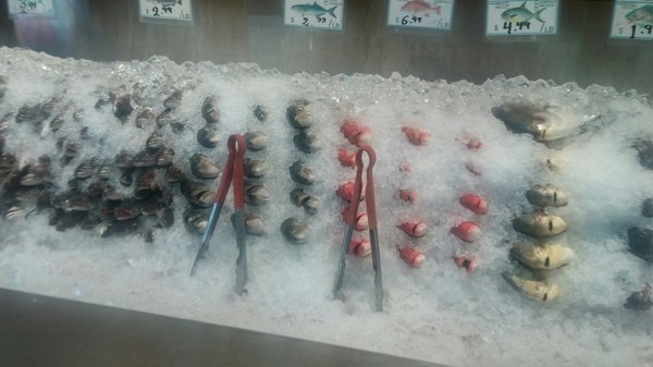 149 Steam Fish by null
