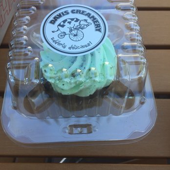Davis Creamery - Melted mint chocolate cupcake - Ice Cream & Frozen Yogurt Near Me - Davis, California