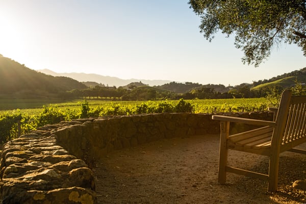 Stags' Leap Winery by null