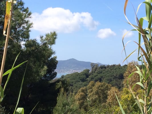 Camping Rosselba le Palme by null