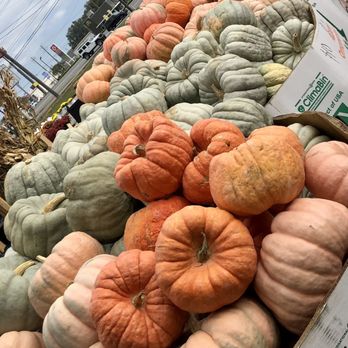 Lil Brian's Produce Market - Decorating gourds and pumpkins - Grocery Near Me - Theodore, Alabama