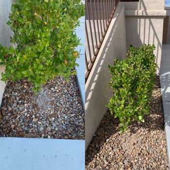 Ultimate Lawn Maintenance - Before (left), After (right) - Lawn Services Near Me Ultimate Lawn Maintenance - Before (left), After (right) - Lawn Services Near Me