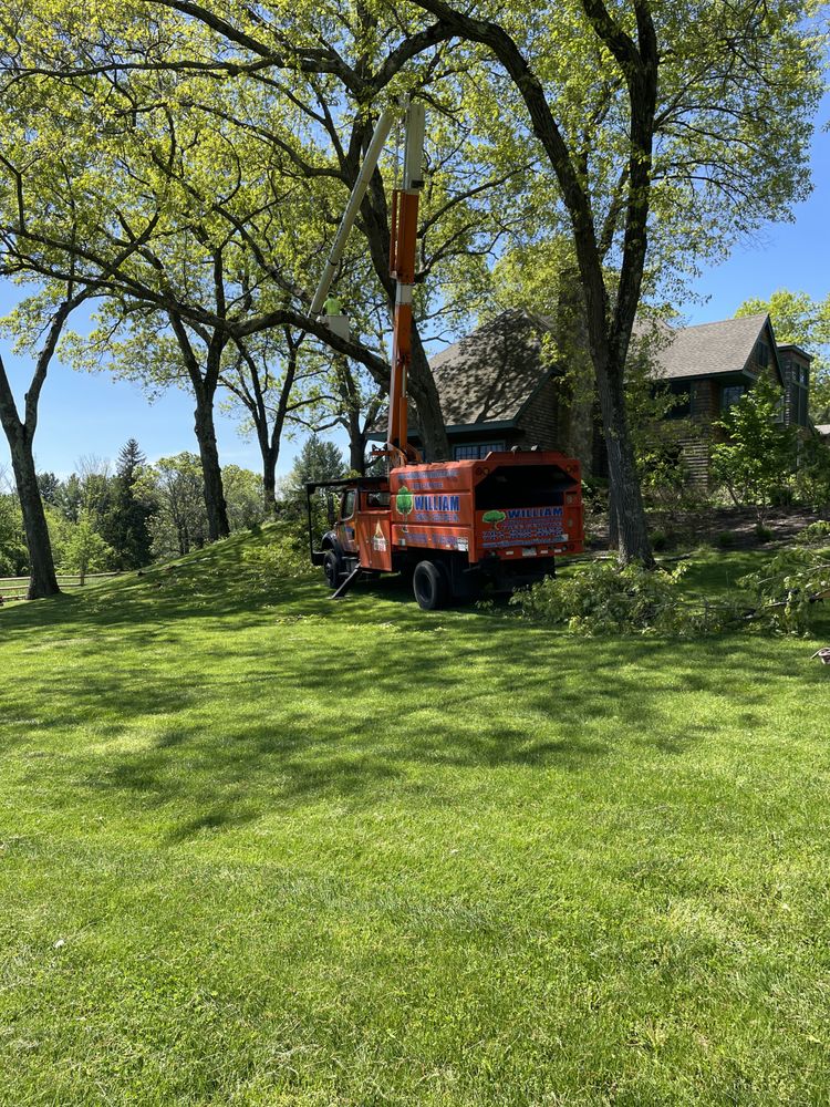 William Stewart & Associates - tree service in Everett, MA
