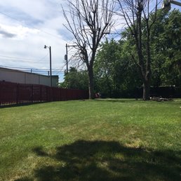 The trees and their removal The trees and their removal