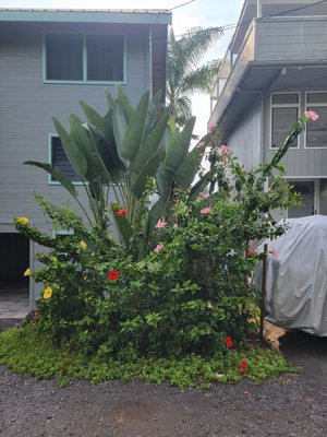 Big Island Retreat by null