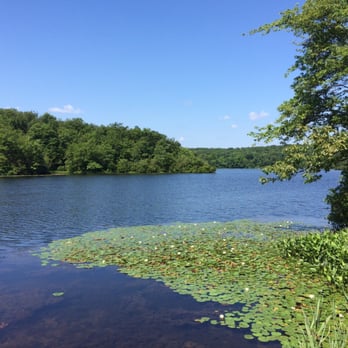 Ramapo Mountain State Forest - View of one of the lakes. - Hiking Near Me - Ringwood, New Jersey
