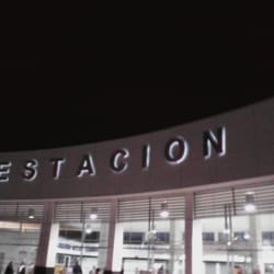 Primera Plus