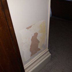 Grafton Manor Restaurant - Damp, perhaps?