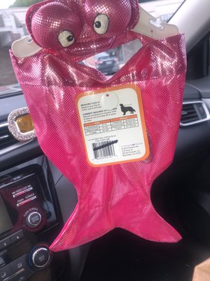 concord pet marsh road