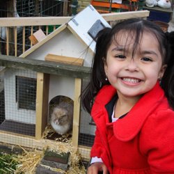 Kinderboerderij de Pijp