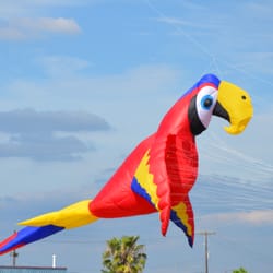 Big kites overhead!
