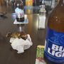 Photo of Paradise Bar & Grill
