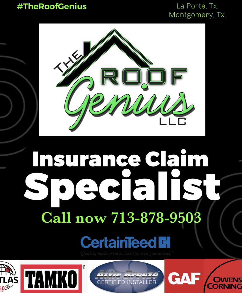 Slide of The Roof Genius