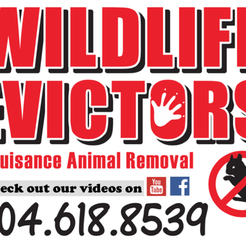 Wildlife Evictors - We get them out for good... Guaranteed!! - Wildlife Control Near Me - Canton, Georgia