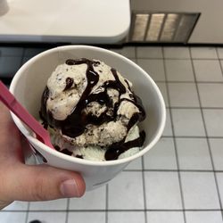 Baskin-Robbins 31 Flavors - Tiny 3 scoops and squirt of hot fudge