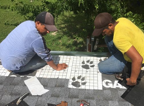 Slide of Roof Right Now