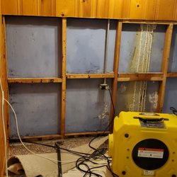 Simply Mold Gone - Robert and his team cut out the affected paneling and treated the framing.