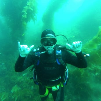 Catalina Divers Supply - #gopro playground - Dive Shops Near Me - Avalon, California Catalina Divers Supply - #gopro playground - Dive Shops Near Me - Avalon, California