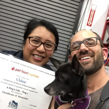 In Tune Dog Training - Graduation day! - Pet Training Near Me In Tune Dog Training - Graduation day! - Pet Training Near Me