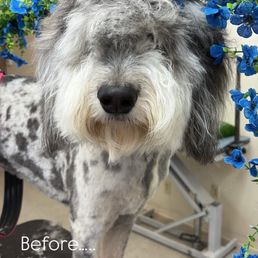 Taz pre-face/head trim Taz pre-face/head trim