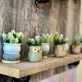 Petals Floral And Event Staging - Florists Near Me - St. Catharines, Ontario Petals Floral And Event Staging - Florists Near Me - St. Catharines, Ontario