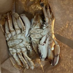 88 Seafood Supermarket - Each crab is missing a claw.