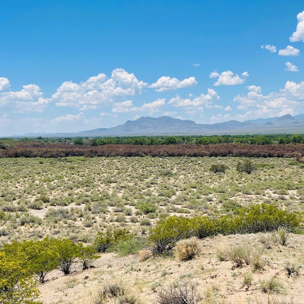 Acacia Riding Adventures - equestrian in San Acacia, NM