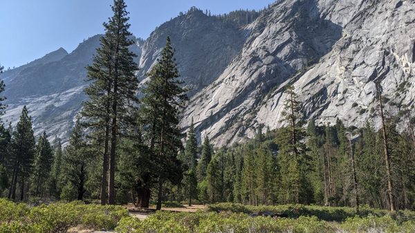 Kings Canyon National Park by null