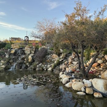 Lunario - Waterfall - Mexican Near Me - Francisco Zarco, BCN Lunario - Waterfall - Mexican Near Me - Francisco Zarco, BCN