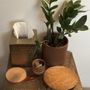 Photo of Meridian Alchemy Acupuncture & Wellness