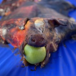 A’s House of Smoke & Catering - Whole Hog BBQ