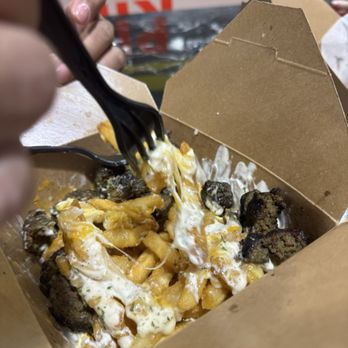 Pita King - Garlic Cheese Fries topped with Beef Kabob - Middle Eastern Near Me - Ocala, Florida Pita King - Garlic Cheese Fries topped with Beef Kabob - Middle Eastern Near Me - Ocala, Florida