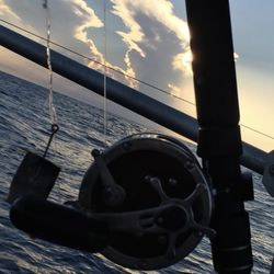 Fishing charters, Charter boat fishing, Fishing trips, Fishing Guide