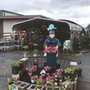 Wilson Farmers Co-Op