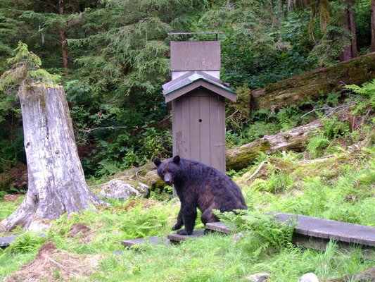 Alaska Peak & Seas by null