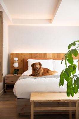 1 Hotel Toronto by null 1 Hotel Toronto by null